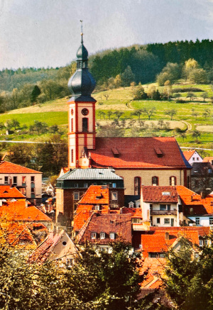 Church and red-roofed houses in valley in Germany