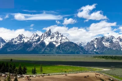 View of the Tetons from the deck of Lost Creek Ranch directly across from them with part of the horse corral with horses in it below.